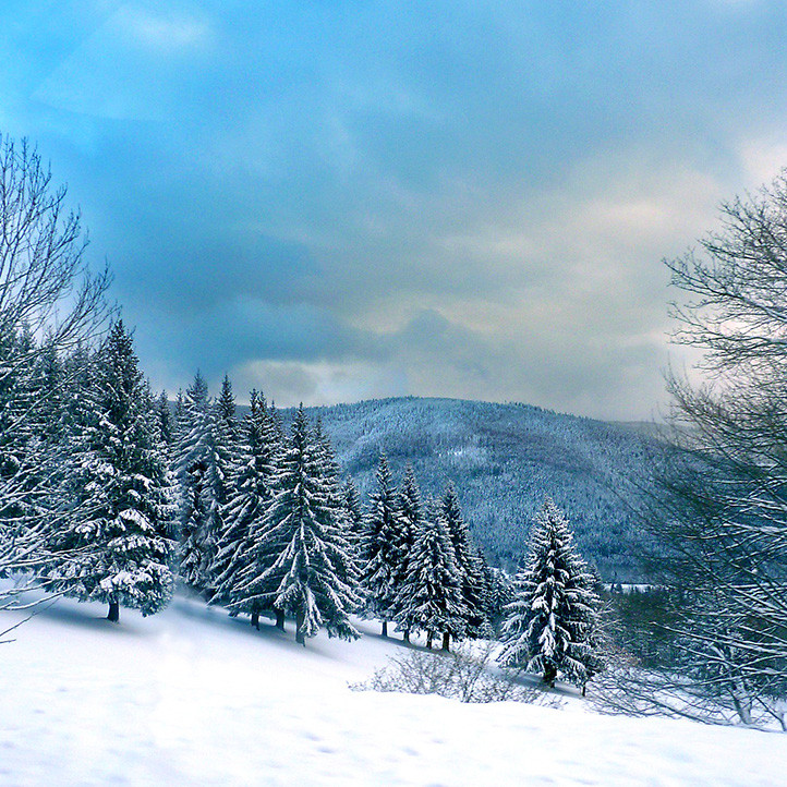 village vacances location hiver bussang montagne a decouvrir